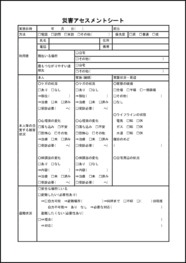 災害アセスメントシート21