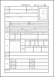 キャリアシート14